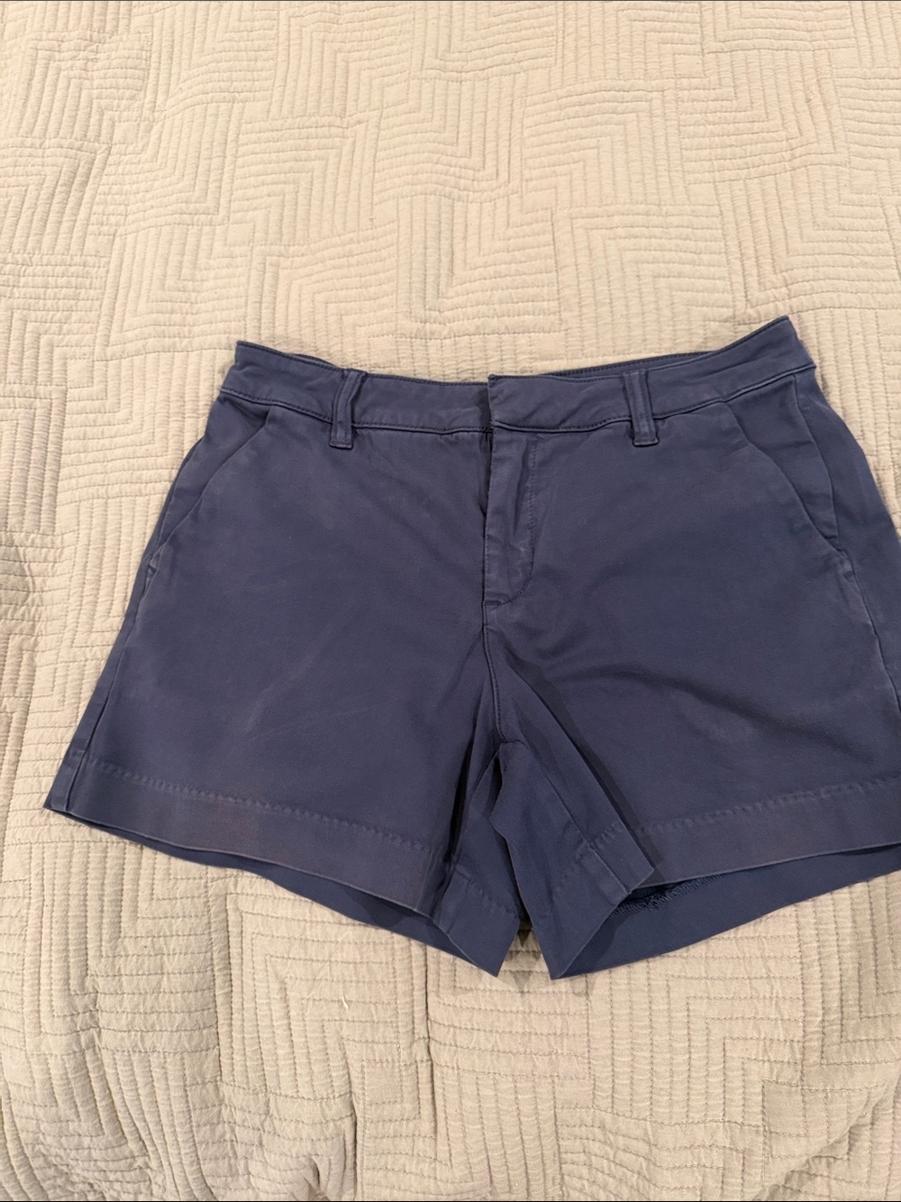 Stitch Fix Lila Ryan Women’s Navy Blue Shorts